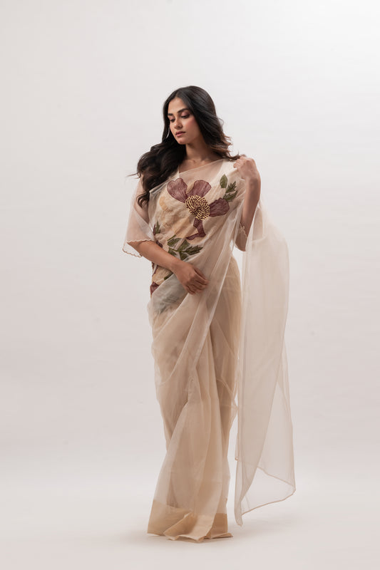 Saree 14